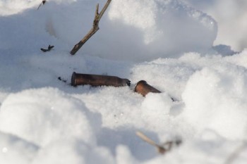 Зима на блокпосту