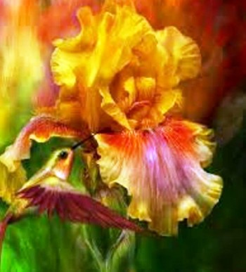 Пані Тетяні