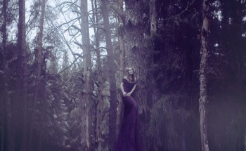 Зимова зустріч з чугайстром