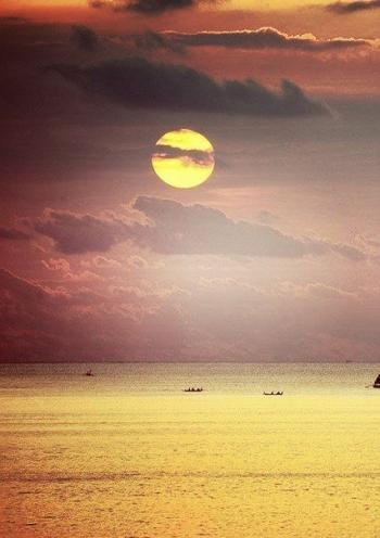 Я веселитись людством вже не в змозі