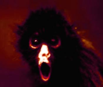 Лісові історії