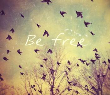 ДВІ СИНІ ПРИЩІПКИ