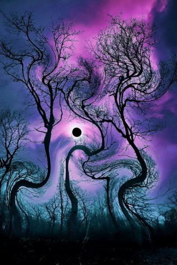 Вимір лілового трепету