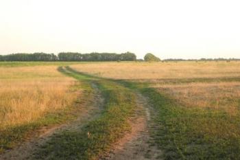 ВІТЕР В ПОЛІ