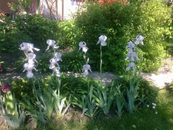 НЕВИДИМЕ НЕ ДАСТЬ ПРОСПАТИ