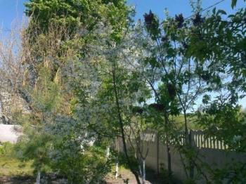 НІЧ ДЛЯ ЧОГО?