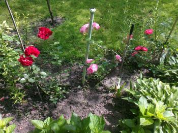 ІНСТИТУТИ,  ЯК ЛЮДИ