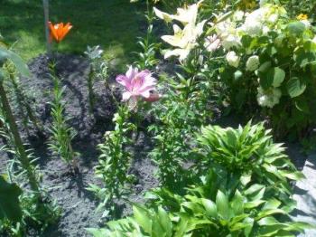 НАЙКРАЩИЙ ЧОЛОВІК