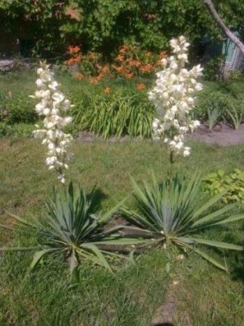 НЕИЗВЕСТНОМУ ЧИТАТЕЛЮ