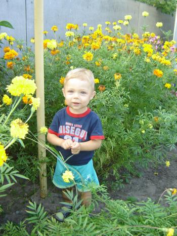 КОЛИ ХТО ЛОНО ЗАСІВАЄ