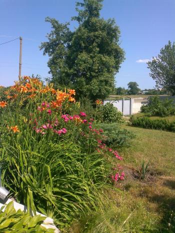 ПІДСТУПНІСТЬ І КОХАННЯ