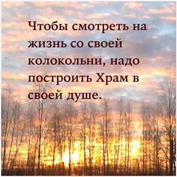 СКРИПАЛЬКА