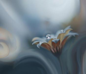 Я захворіла,  хоч нічого не болить...