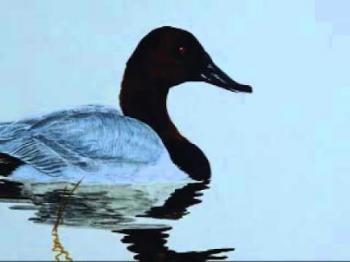 Скривавлена Пам’ять