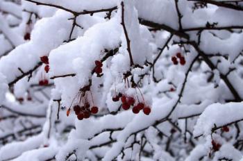 Січневий настрій