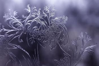 Морозець бешкетує