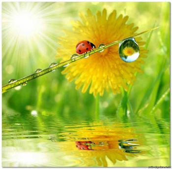 Стихи мои написаны душою....