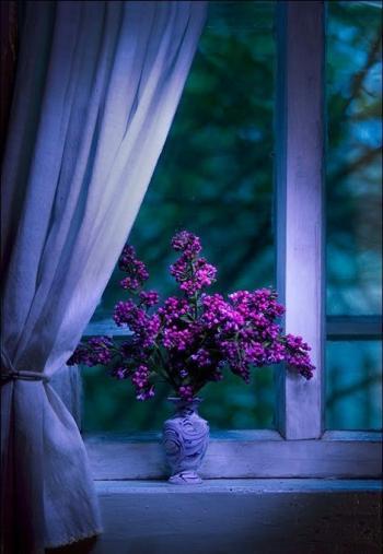 Я вже завтра знов тебе побачу