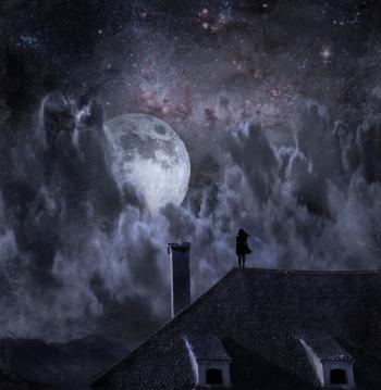 Ноктюрн на даху