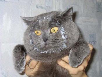 У мить екстазу