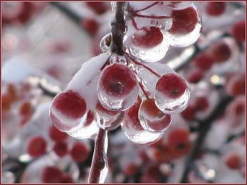 В передчутті