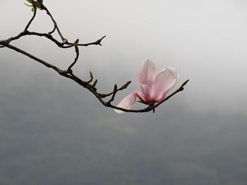 Бути зливою