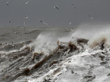 Жизнь – море…