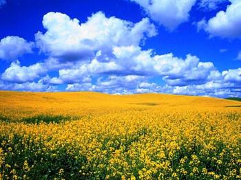 Моя Україна