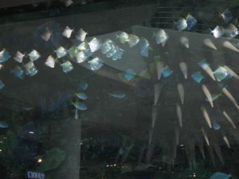 ПРО ВЕЛИКУ КРОКОДИЛУ