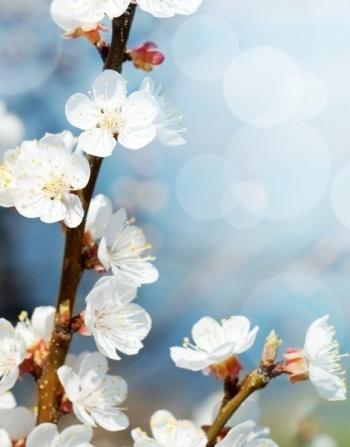 Звалище наук