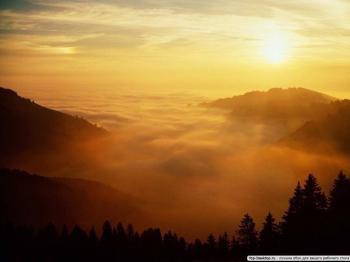 Який запах у свободи