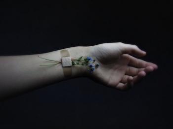 Першими квітами