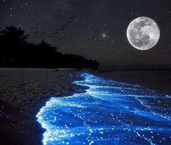 Срібна колисанка