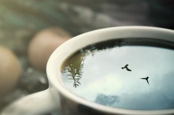 Синьокрила ластівка