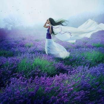 Розступіться,  стіни