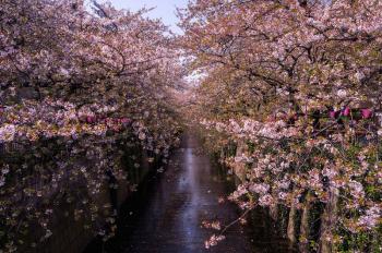 Не лишай мене