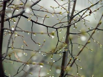 Що нового у Харкові?