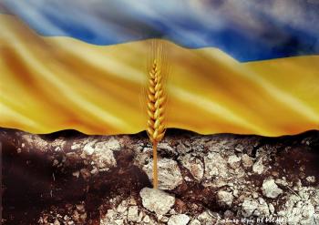 СВІТ НЕМИЛОСЕРДНИЙ