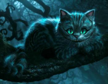 Чеширський кіт