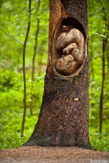 Думки дерева - 3