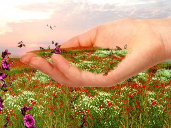 Когда душа моя томится...