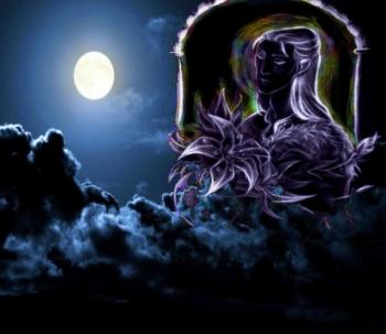 Гарячий оксамит ночі