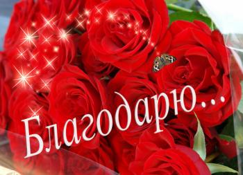 Моим учителям посвящается