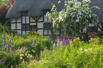 &laquo;Тут пахощі бузкові,  півоній аромат…&raquo;