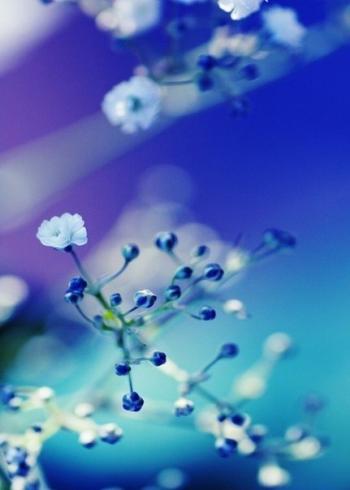 Стислось тихо серце