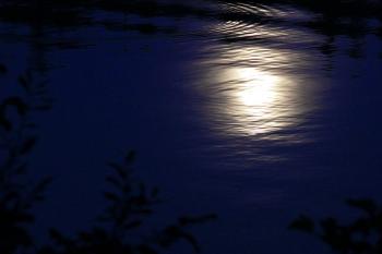 Сяйво ласкавого місяця