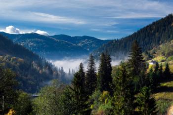 Знову Карпати