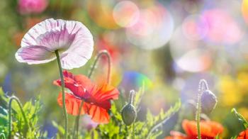 Про сконцентрованість на собі