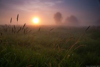 На досвіткових рос осонні