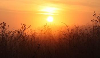 Липневий вечір